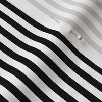 Bengal Stripe Black and White