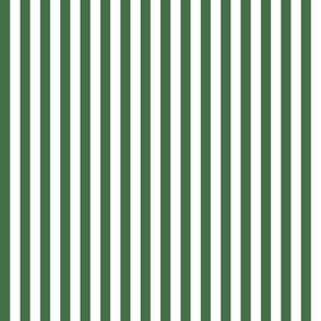 Bengal Stripe Christmas Green