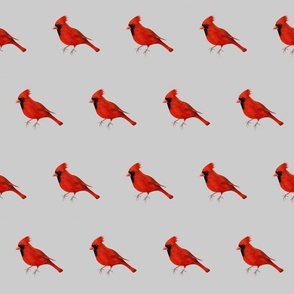 Flock of red cardinals on silver