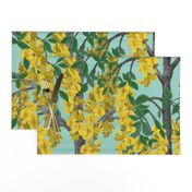 Laburnum Golden Rain Trees on Turquoise