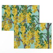 Laburnum Golden Rain Trees on Turquoise