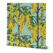 Laburnum Golden Rain Trees on Turquoise