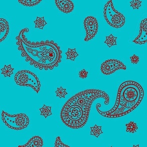 Paisley Pattern in Red on Turquoise Blue Background