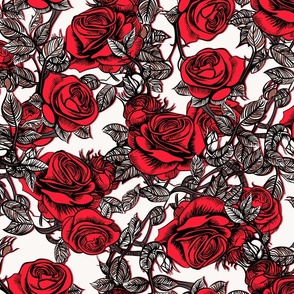 red roses on white background