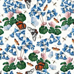 James Bolton Antique Hand Painted Victorian Historical Reconstructed Moths And Butterflies with Blue Flowers -white