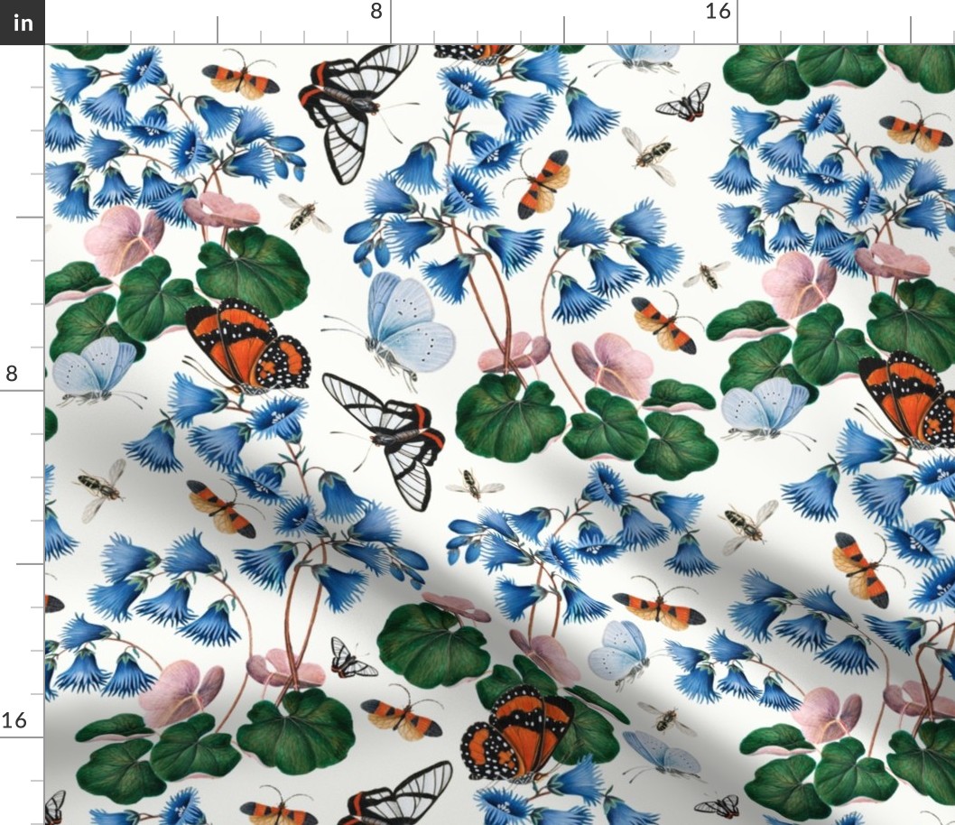 James Bolton Antique Hand Painted Victorian Historical Reconstructed Moths And Butterflies with Blue Flowers -white