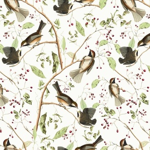 Canadian Titmice by John James Audubon  - Antiqued Reconstructed Bird Fabric - Birds And Branches on white 