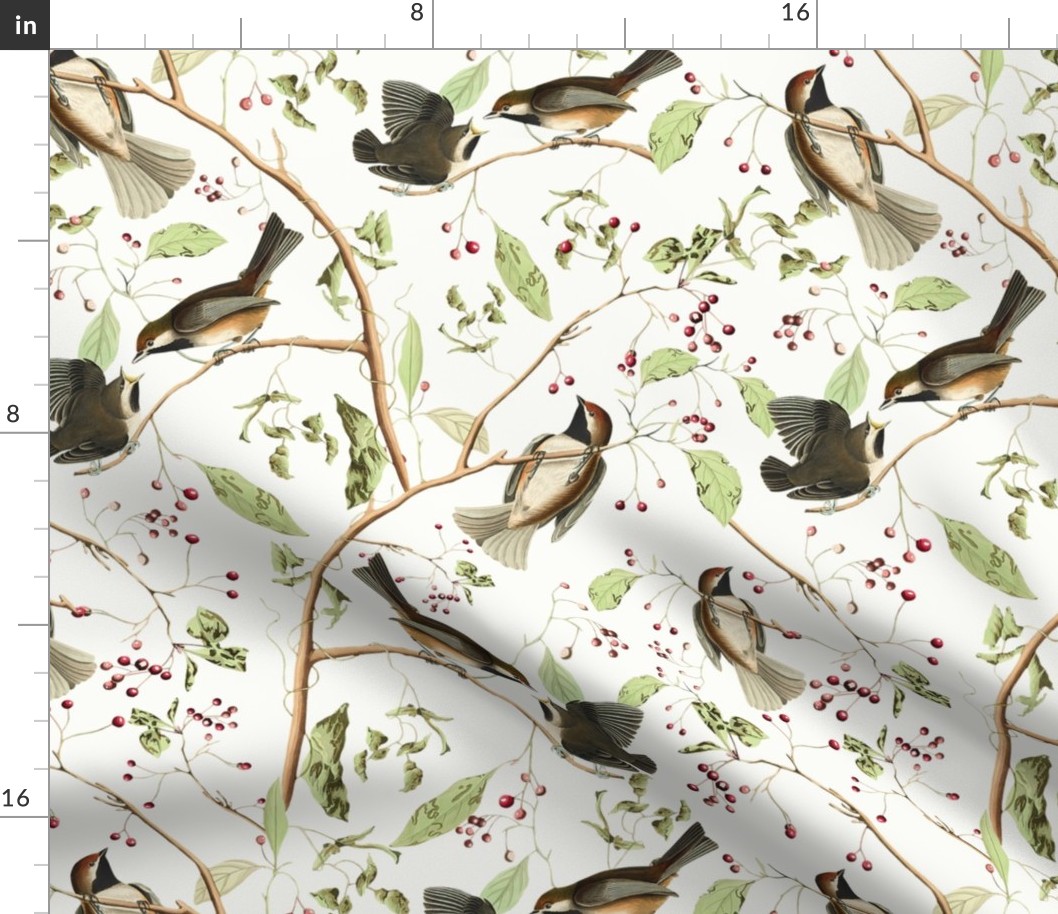 Canadian Titmice by John James Audubon  - Antiqued Reconstructed Bird Fabric - Birds And Branches on white 