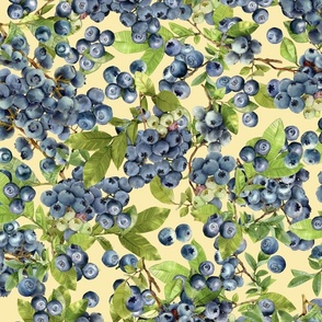 Watercolor blueberry berries colorful graphic on light yellow