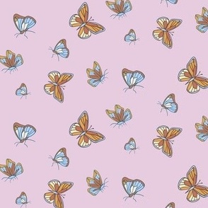 Butterflies on Pink, Orange and Blue Insects, Vintage Colors