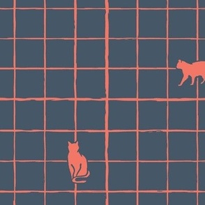 (large scale) orange cats on check