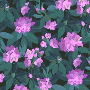 Rhodies Lilac