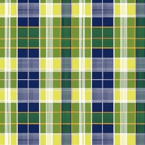 Painted Plaid in Cobalt, Green, and Yellow