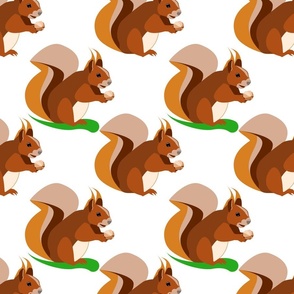 Squirrels 