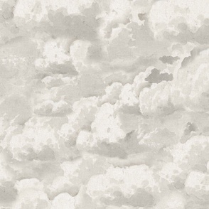 HEAD IN THE  CLOUDS - VINTAGE WARM LIGHT PLEASANT GRAY