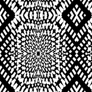 Black And White Kaleidoscope medium