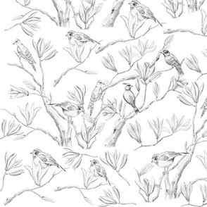 magnolia flowers and birds drawing 2