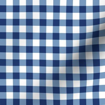 Blue and White Gingham Plaid 6 inch