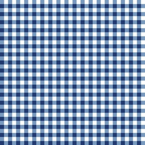 Blue and White Gingham Plaid 6 inch