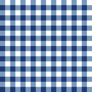 Blue and White Gingham Plaid 12 inch