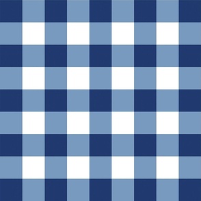 Blue and White Gingham Plaid 24 inch