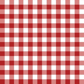 Red and White Gingham Plaid 12 inch