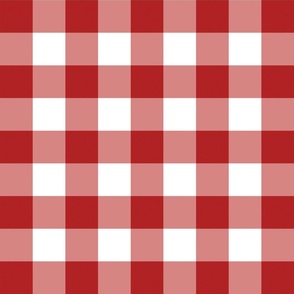 Red and White Gingham Plaid 24 inch