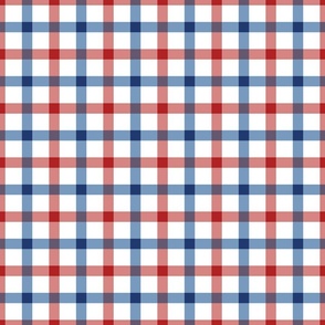 Patriotic Red White and Blue Small Gingham Plaid 12 inch