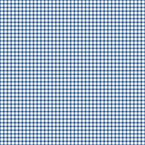 Blue and White Small Gingham Plaid 6 inch
