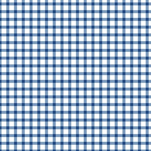 Blue and White Small Gingham Plaid 12 inch