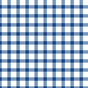 Blue and White Small Gingham Plaid 24 inch
