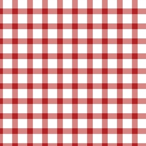 Red and White Small Gingham Plaid 24 inch