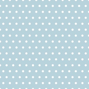 Light Blue and White Polka Dots 12 inch