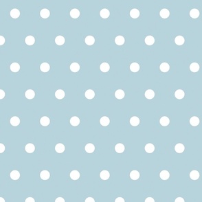 Light Blue and White Polka Dots 24 inch