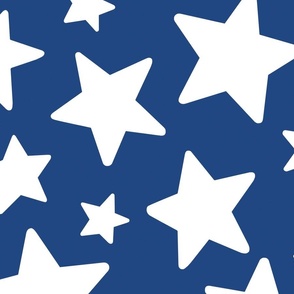 Blue and White Stars 24 inch