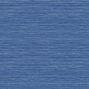 Grasscloth Wallpaper Coastal Blue