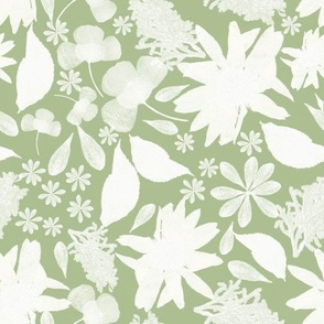 Sillouette pressed florals-over sage green