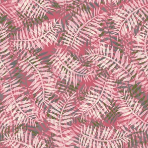 palm-fern_rose-pink