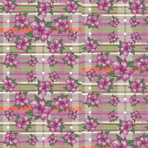 CROCUS FLOWER - PLAID BKGRND