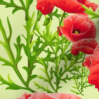 Poppy Flowers  medium