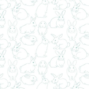 Year of the Rabbits 