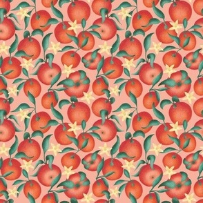 Oranges with leaves and flowers  - pink background