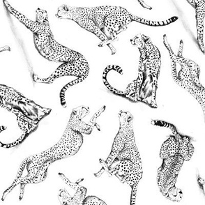Sketchy Cheetahs | Black and White
