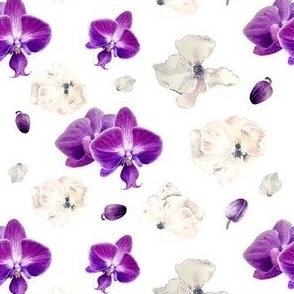 Orchids VS Roses | White | Watercolour 