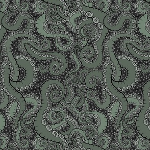 (M) Tentacoli! Verde Sage Green 12x16 LeonardosCompass Octopus Tentacle 14140720