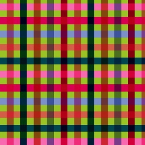 Picnic Plaid Apple Green Rainbow Gingham 