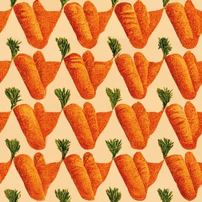 Tasty carrot