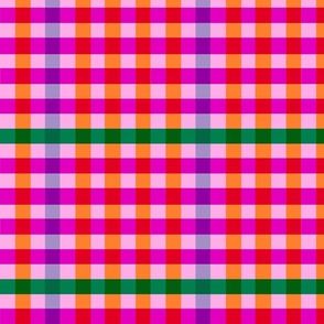 Picnic Plaid Fruit Salad Pink Rainbow Gingham