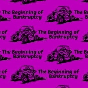 Bankruptcy SXS purple