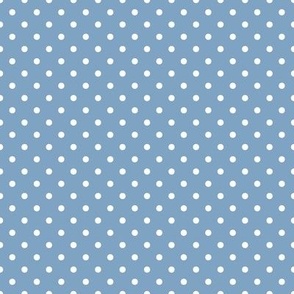 Polka Dots Glacier Blue Grey